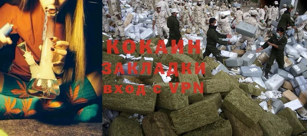 spice Богданович