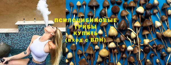 МДПВ Богородицк