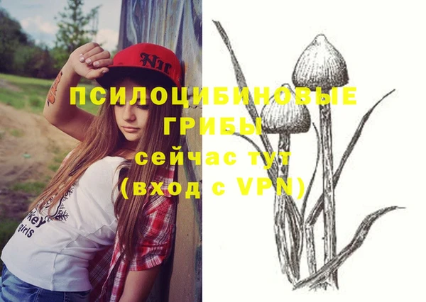 МДПВ Богородицк
