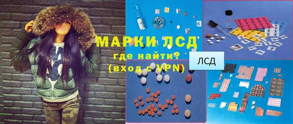 spice Богданович
