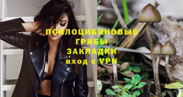 бошки Белоозёрский
