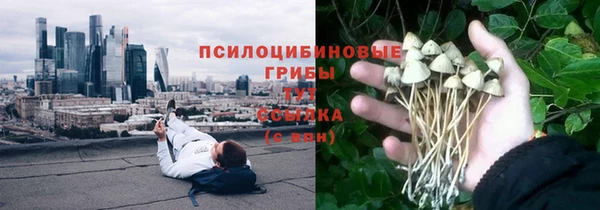spice Богданович