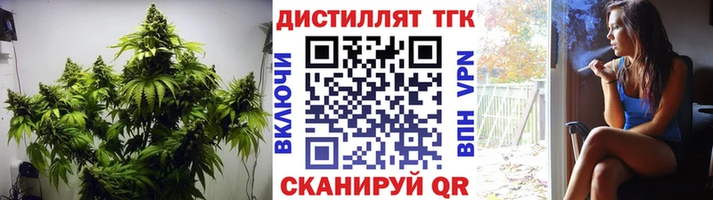 что такое   Валдай  ТГК гашишное масло 